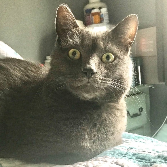 LIVE SHOWS | LIKE THIS POST TO GET NOTIFIED WHEN IM LIVE - Picture 6 of 8